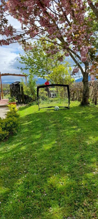 Annaswood B&B Кахир Екстериор снимка